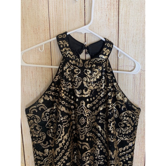 Francesca’s | Alya Lucianna Sequin Shift Dress - Picture 6 of 7